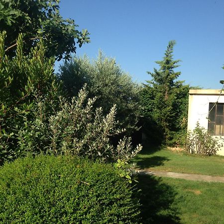 B&B - Le Vieux Figuier Vacqueyras Exterior foto