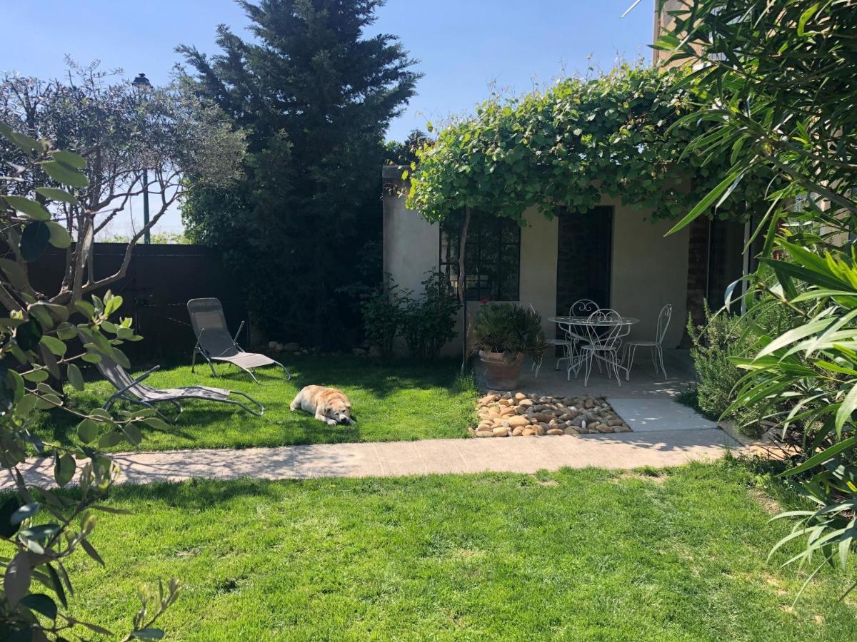 B&B - Le Vieux Figuier Vacqueyras Exterior foto