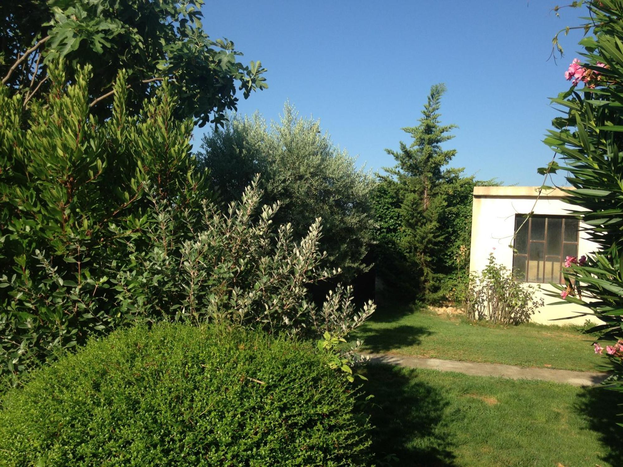 B&B - Le Vieux Figuier Vacqueyras Exterior foto