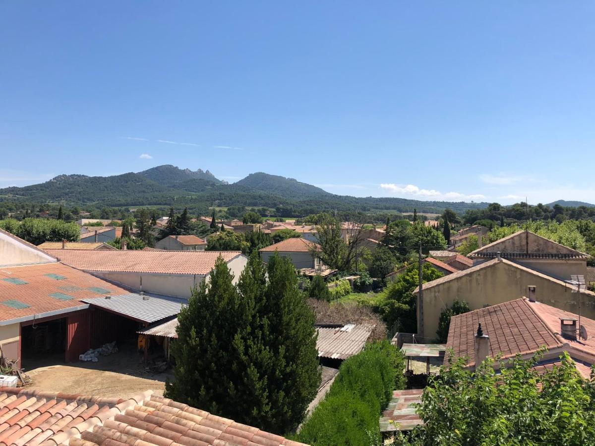 B&B - Le Vieux Figuier Vacqueyras Exterior foto